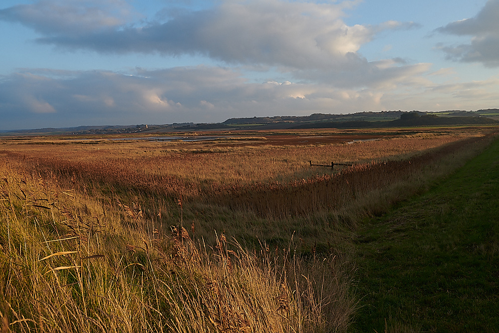 Arnold'sMarsh101120-1