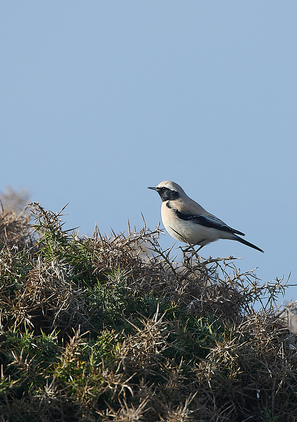 GramboroughHillDW181120-1