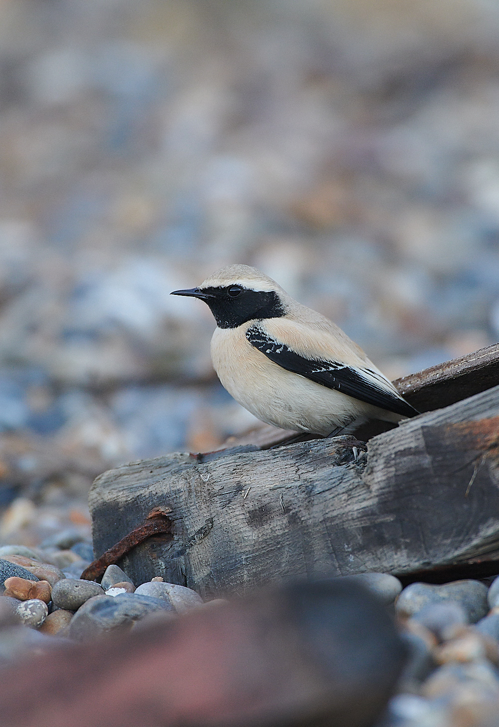 GramboroughHillDW181120-20