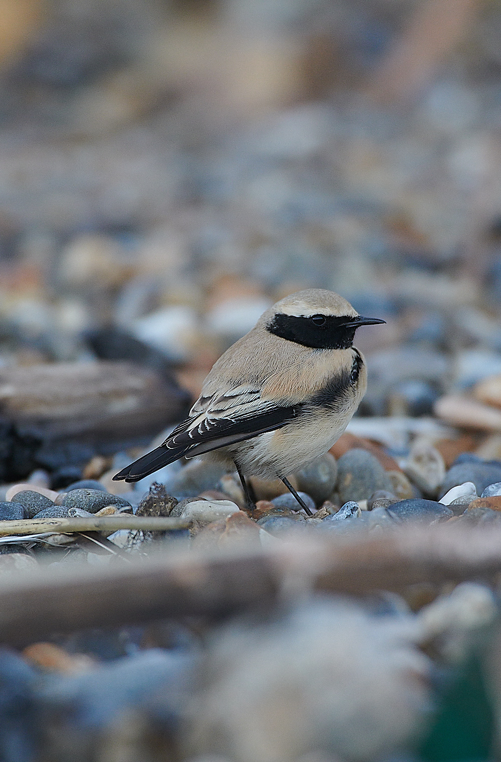 GramboroughHillDW181120-22