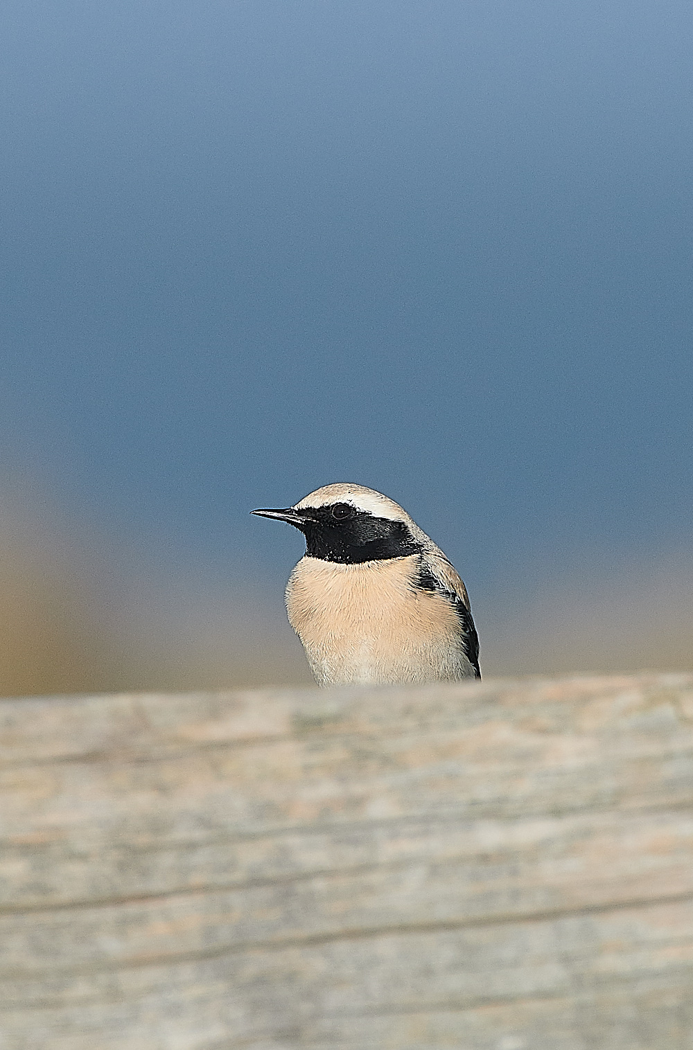 GramboroughHillDW181120-4