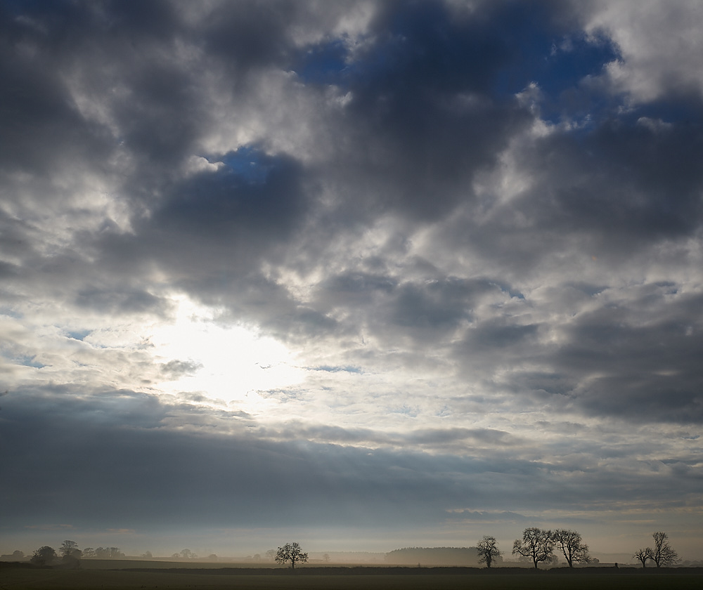 Sharrington061220-1 1